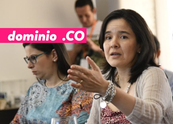 El dominio .CO, adjudicado vía audiencia electrónica liderada por MinTic