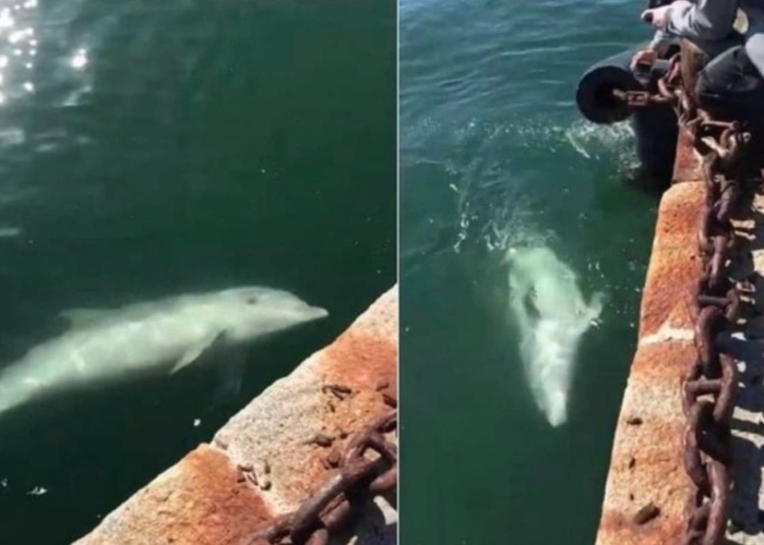 La invitación de la tierra para vivir en armonía con ella