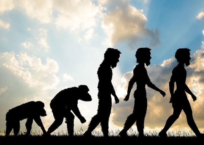 Lecciones clave para la evolución social