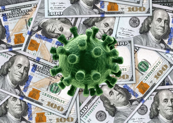 De cómo el COVID-19 bloqueó al capitalismo salvaje