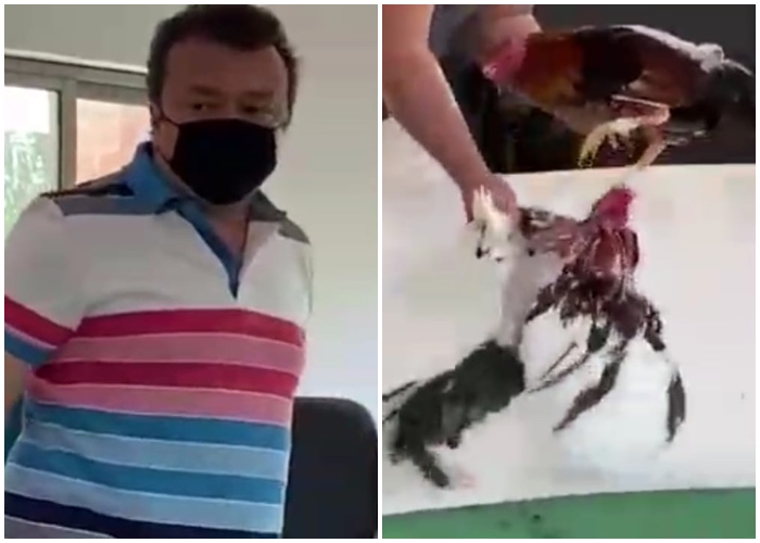 Álvaro Gómez Hurtado tenía razón: somos un país de cafres