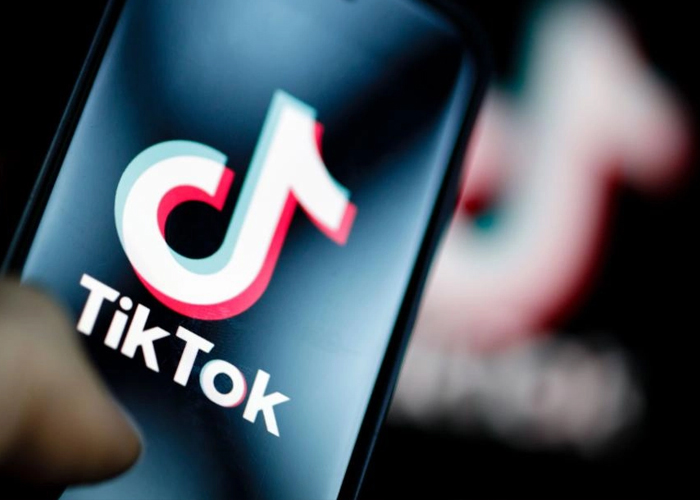 Ni pobres, ni gordos, ni discapacitados ni feos: el nazismo de Tik Tok