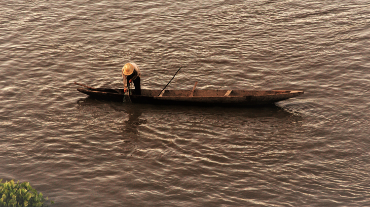 Animales creen que los humanos se han extinguido