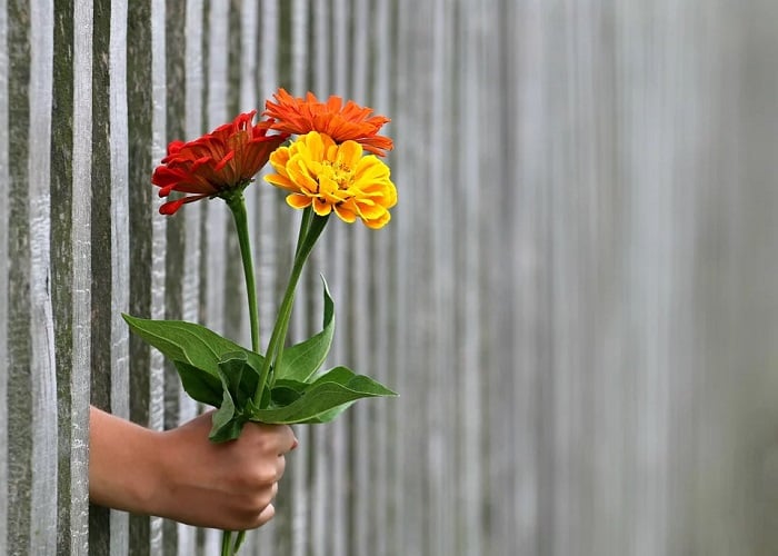 Lo inteligente es resistir