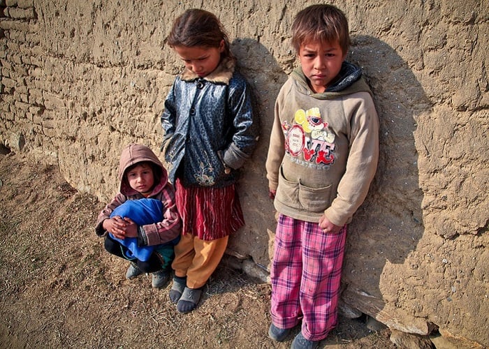 Insolidaridad, característica congénita de los seres humanos