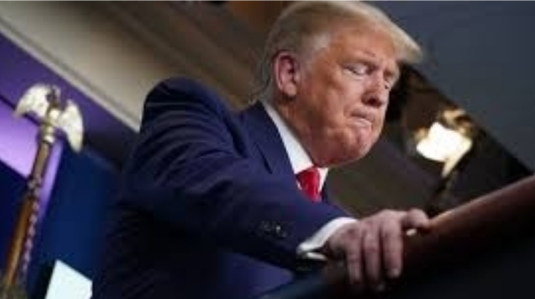 La pandemia de los americanos