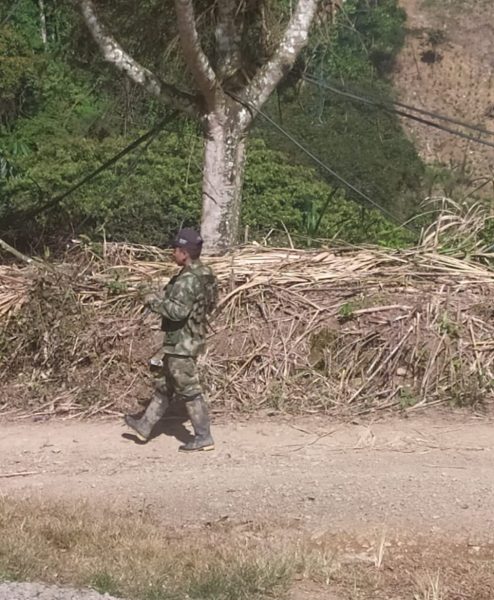  - ¿Cacería de exFarc en el Cauca?