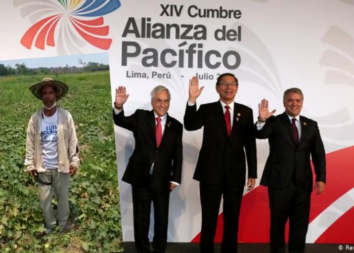 ¿Qué tanto ha beneficiado la Alianza del Pacifico al agro en Colombia?