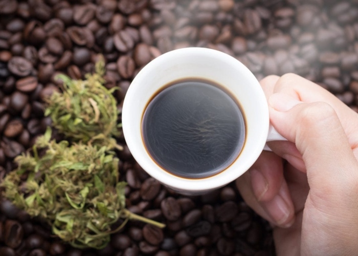 ¿Qué drogas son las favoritas de los colombianos durante la pandemia?