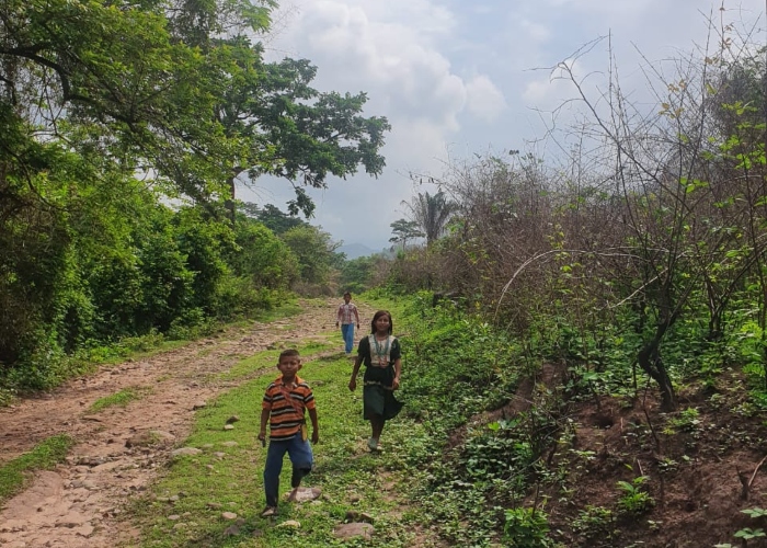 Coronavirus, el apocalipsis de los indígenas Yukpa en el Cesar