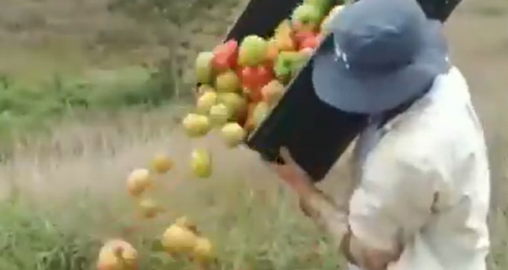  - Campesinos botan alimentos porque Duque no les compró la cosecha