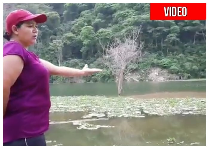 VIDEO: 'EPM convirtió el río Cauca en una laguna putrefacta'