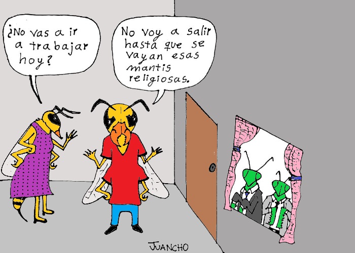 Caricatura: El dilema de las avispas asesinas