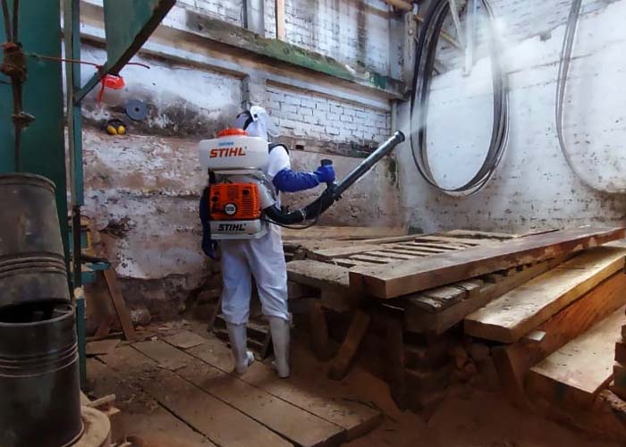 Desinfectar, la opción que tienen muchas empresas para ir a trabajar