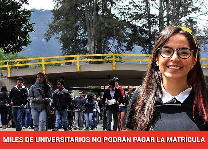  - “Habrá una deserción del 30% de estudiantes por la crisis” - Página 22