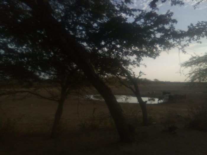  - Juya: La carencia del pueblo Wayúu