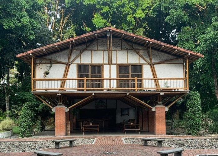  - El coronavirus también amenaza a las mariposas en el Quindío