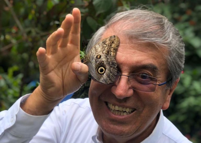 El coronavirus también amenaza a las mariposas en el Quindío