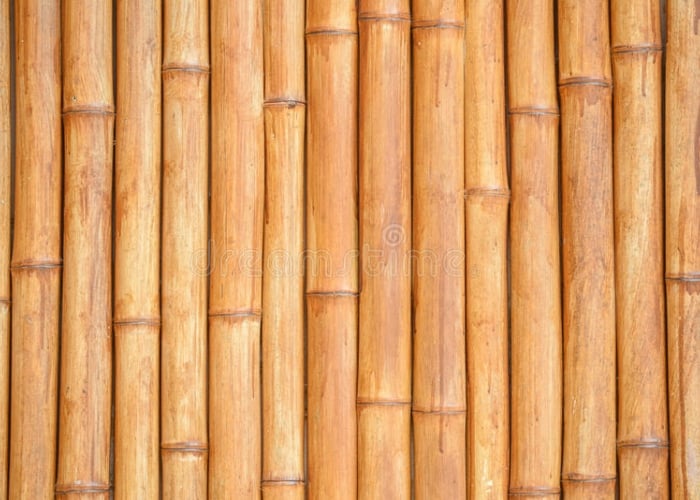 La guadua en la historia de Colombia