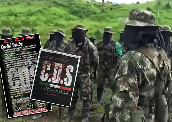 Carteles mexicanos, los nuevos jefes del narcotráfico en Colombia