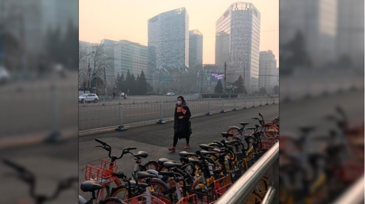 Intento de suicidio colectivo