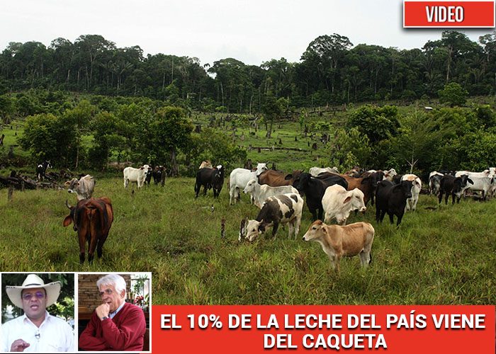 “La pandemia nos enseñó: La prioridad es producir comida para el consumo colombiano" - Página 21 - -- Las2orillas - “La pandemia nos enseñó: La prioridad es producir comida para el consumo colombiano" - Página 21