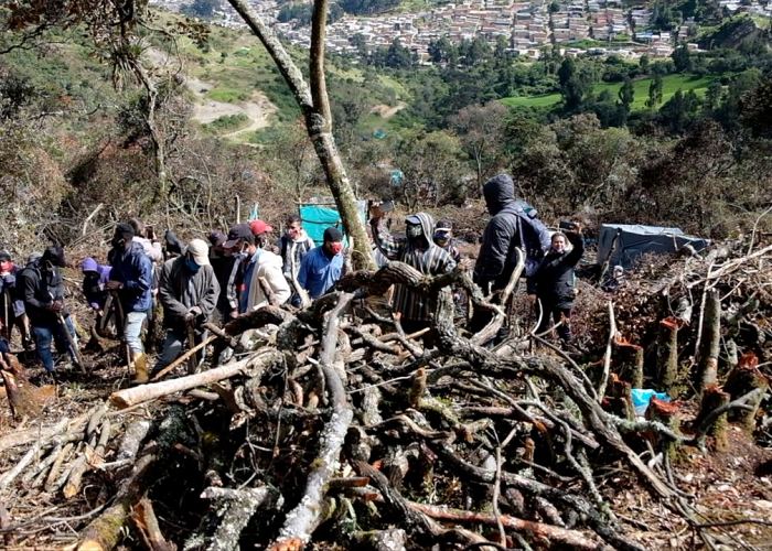La terrible destrucción del Parque Entrenubes