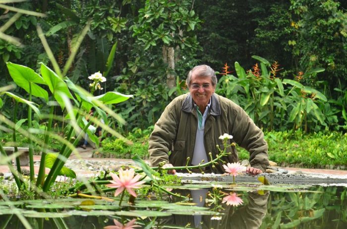  - El coronavirus también amenaza a las mariposas en el Quindío