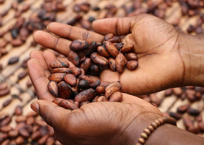 En el conocimiento ancestral puede estar la respuesta para el COVID-19