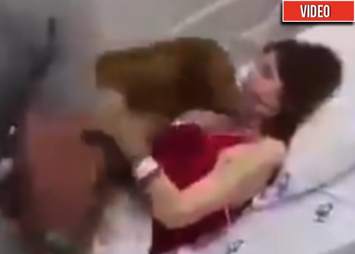 Abrazar a su perro: el último deseo de una mujer agonizando