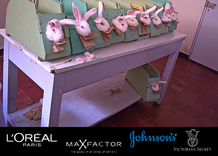 Conejos y monos se salvaron de seguir sirviendo para ensayar cosméticos