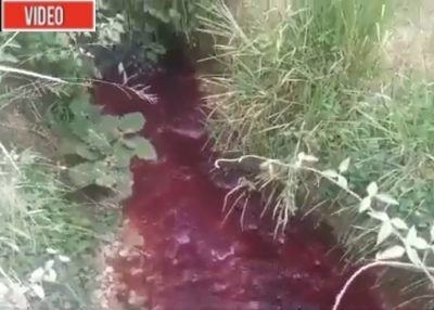 Ríos que parecen de sangre: el saldo de la minería ilegal en el Cauca - Página 4 - -- Las2orillas - Ríos que parecen de sangre: el saldo de la minería ilegal en el Cauca - Página 4