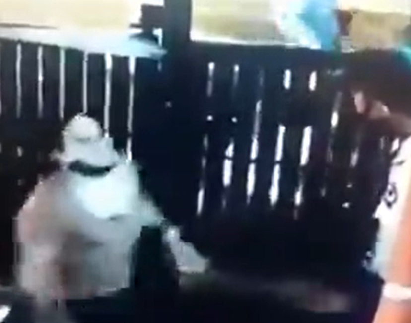 Señora escupe a vigilante en la cara porque le pidió usar tapabocas.VIDEO