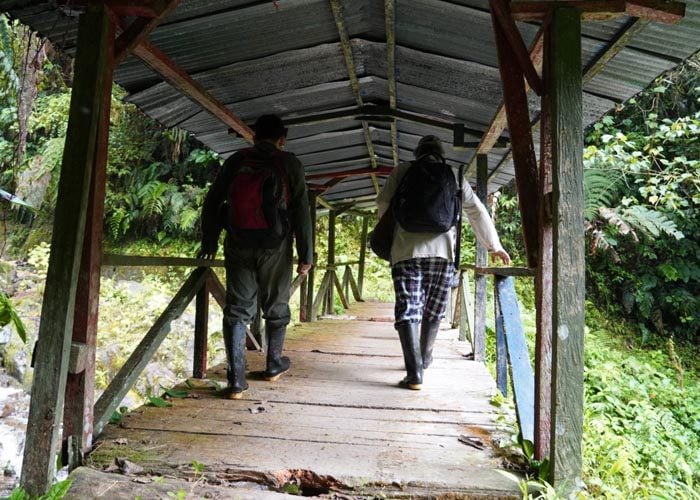 Se requieren dos días caminando a buen paso, y sin mucho descanso, para atravesar la Reserva Forestal Protectora de la Cuenca Alta del Río Mocoa. Foto: María Fernanda Lizcano.