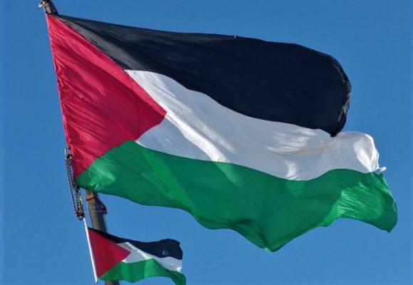 Condenamos la situación de violencia actual en Palestina