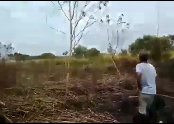 La pesadilla de Llano Verde en Cali no termina: incendian huerta comunitaria