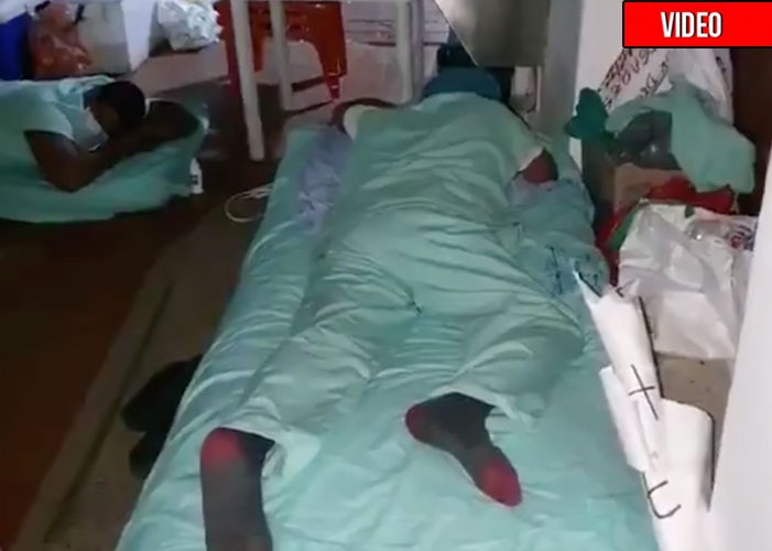 Como animales son tratados médicos en Valledupar