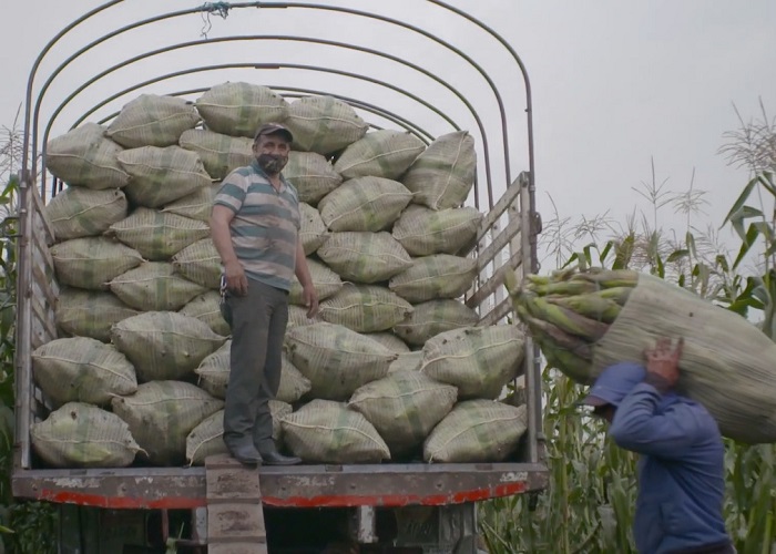 La ruta que permite la llegada de los alimentos a su mesa