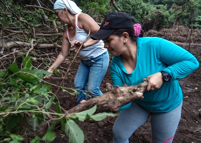 'Dama verde', un proyecto ambiental liderado por mujeres excombatientes