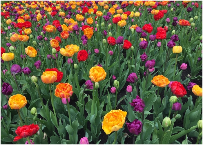 Dejemos el miedo a un lado: la crisis no nos acabará