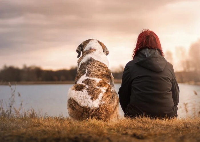 El vínculo único con su mascota puede mejorar su vida