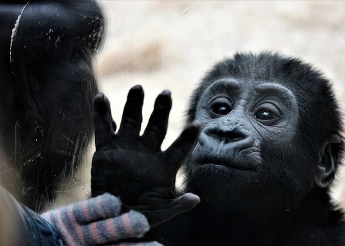 ¡Urge un cambio de visión!