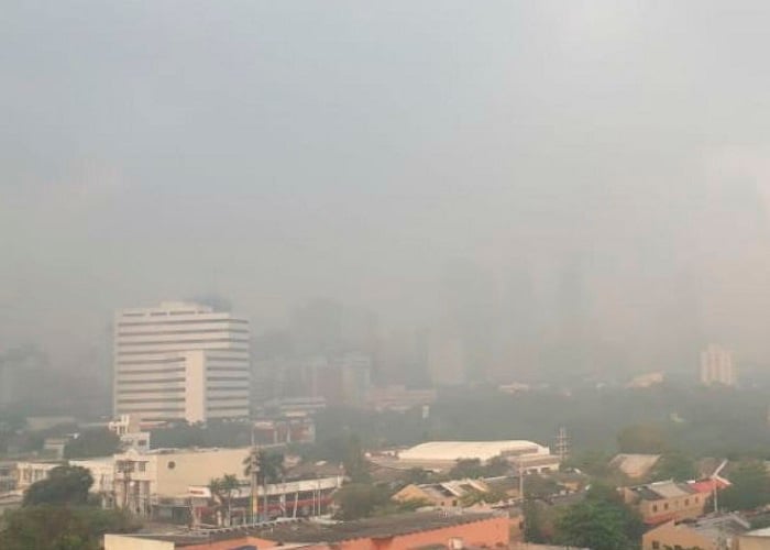La cortina de humo del Vía Parque Isla Salamanca