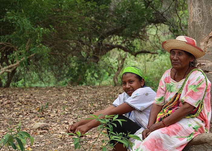 ¿Dónde y cómo están los 11.003 niños de La Guajira?