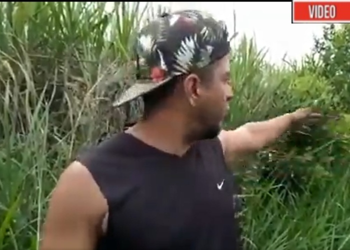 Así el Ejercito asesinó a Juliana en Miranda, Cauca