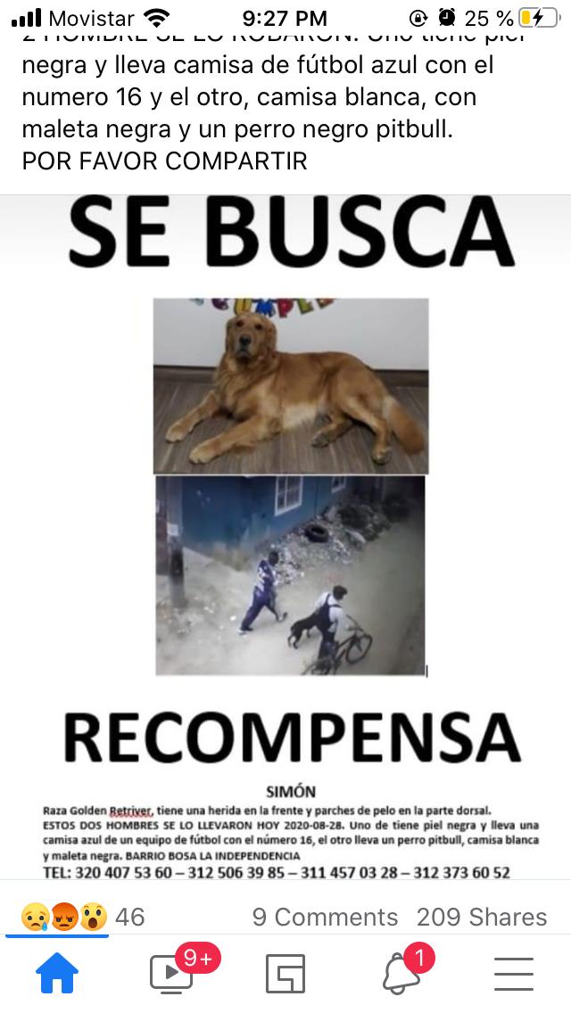  - Simón fue robado: su familia lo busca