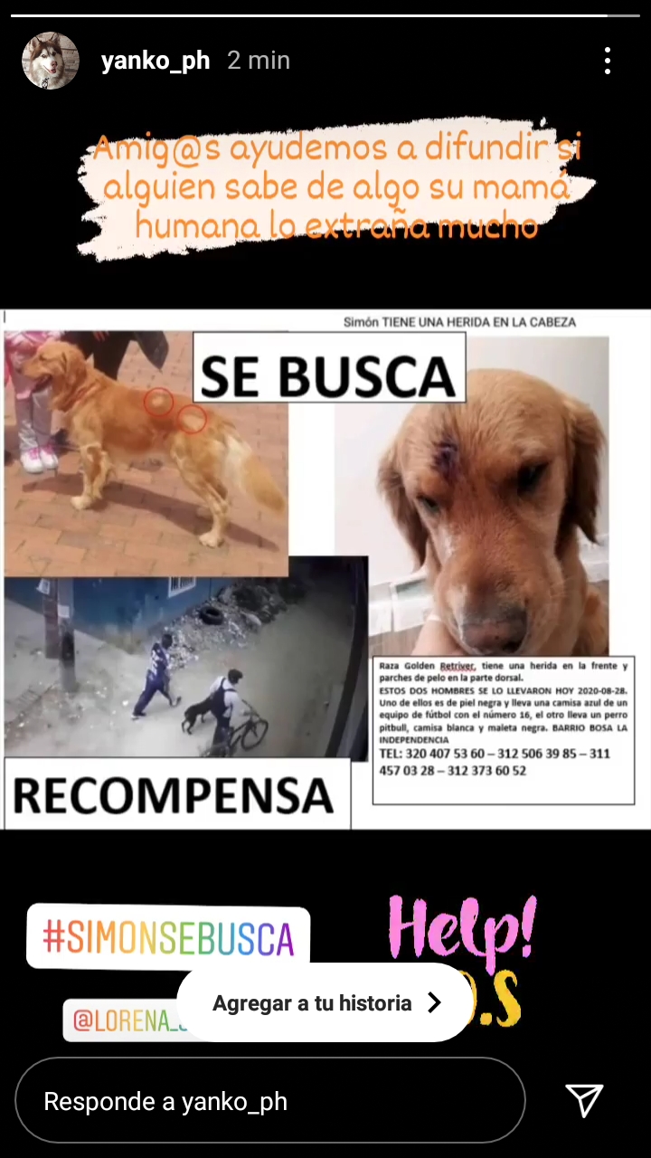  - Simón fue robado: su familia lo busca