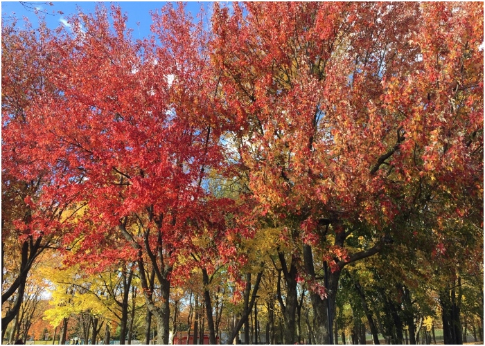 Seamos expertos en lo bueno: la única forma de tener la Colombia que soñamos