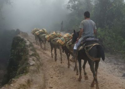  - Entre las misteriosas trochas del Naya