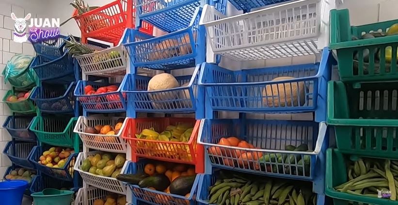  - El oso de anteojos más longevo de Colombia se encuentra en el Zoológico Santacruz